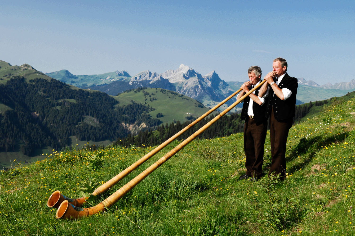 Large clearance swiss horn